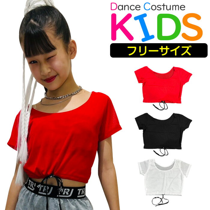 シースルー 半袖 Tシャツ ミニ丈 フリーサイズ 無地 ホワイト ブラック レッド ウェスト絞り メ