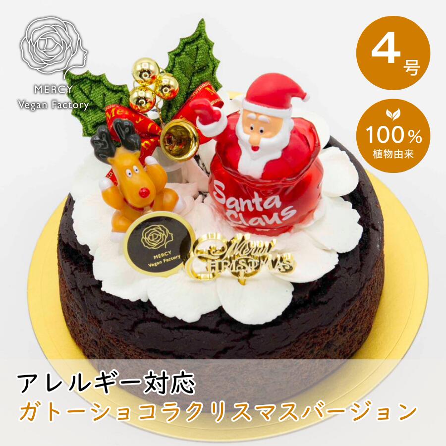 【予約】12月19日以降の発送 ガトーショコラクリスマスバージョン ヴィーガン 【送料無料】【クール冷..