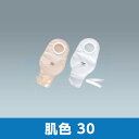 プロケアー2・D 13641 肌色 30 縦300mmx横150mm 1箱10枚入 アルケア【返品不可】