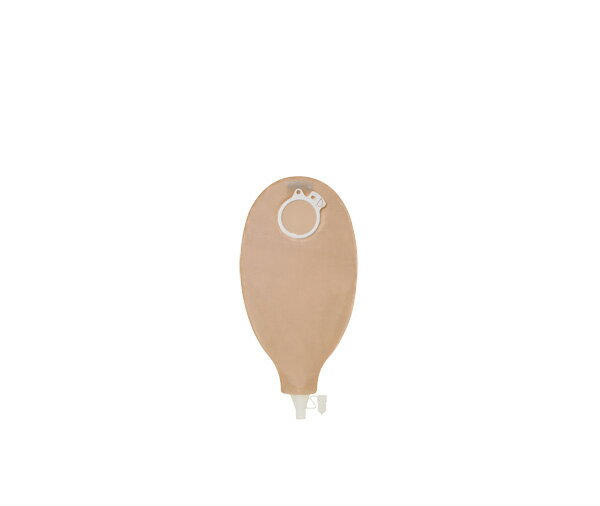 センシュラ 2 イレオ 19041 肌色 フランジ径50mm 1箱10枚 コロプラスト【返品不可】