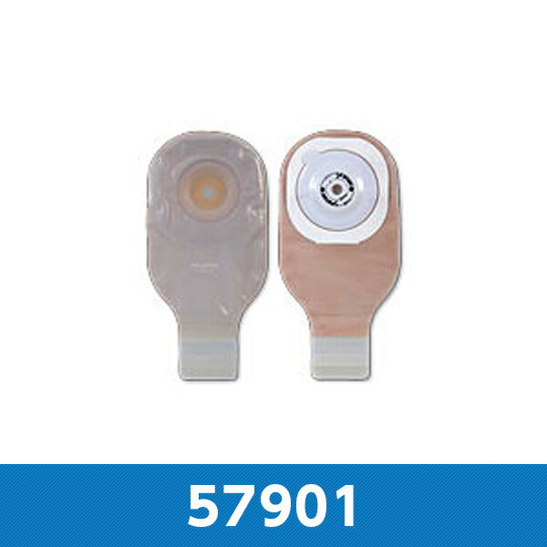 モデルマフレックス FT 凸面 ロックンロール 13-51mm お好みカット 57901 1箱10枚入 ホリスター【返品不可】