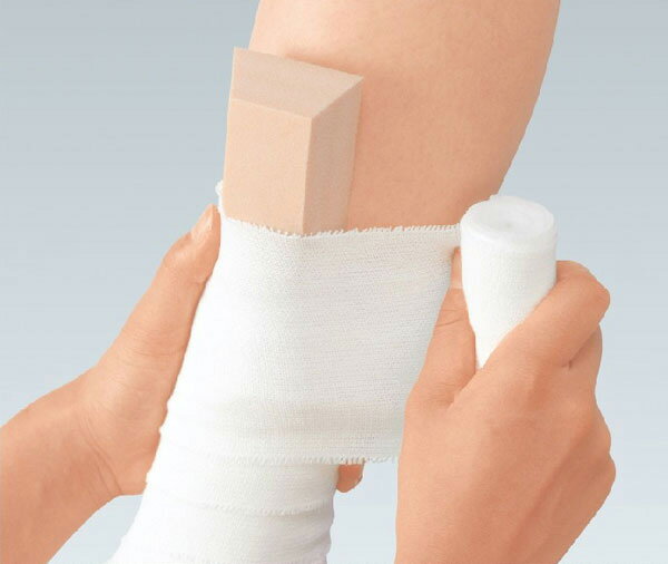 CGパッド 1号 16931 上面：100x60mm 底面：140x100mm 厚さ：25mm 台形状 1函10個入 アルケア【返品不可】