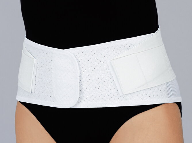 マックスベルト me1 M 322602 日本シグマックス【返品不可】