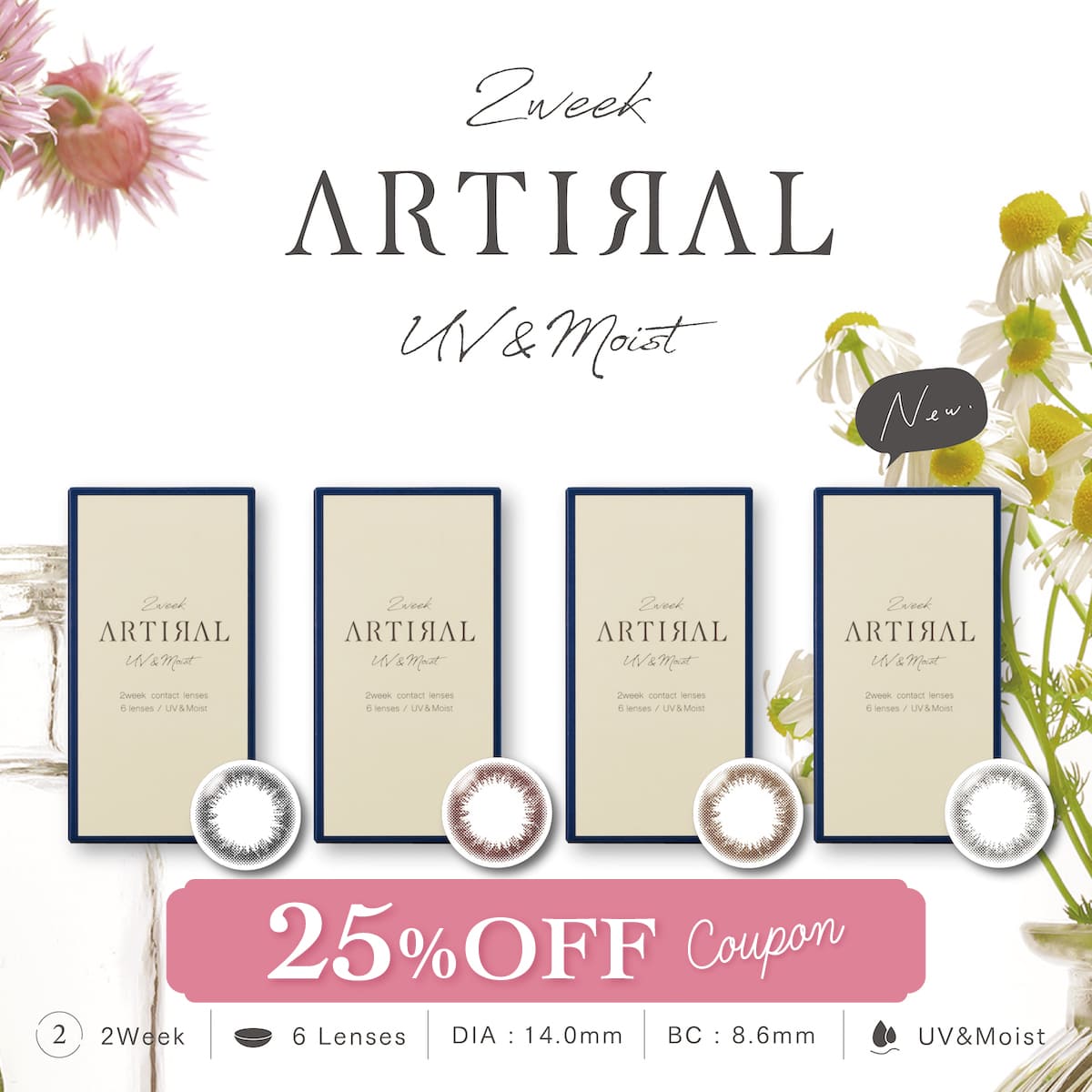 【おまけ+レンズケース付】カラコン アーティラル 2week UV＆Moist 【1箱6枚入り】ARTIRAL 2週間 UVカット オークル ブラウン ダークブラウン ブラック カラコン 自然 ナチュラル うるおい 1トーン カラーコンタクト ナチュラル 度あり 度なし ツーウィークのサムネイル