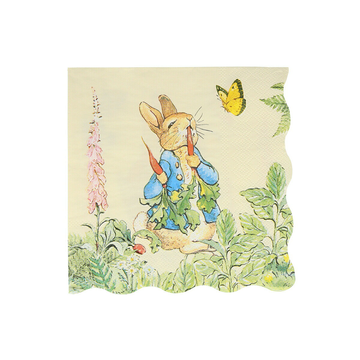 ڥԡӥåȡۥڡѡʥץ  ʥץ Сǡѡƥ   ơ֥륳ǥ͡ λ å ǥѡ merimeri  Peter Rabbit In The Garden