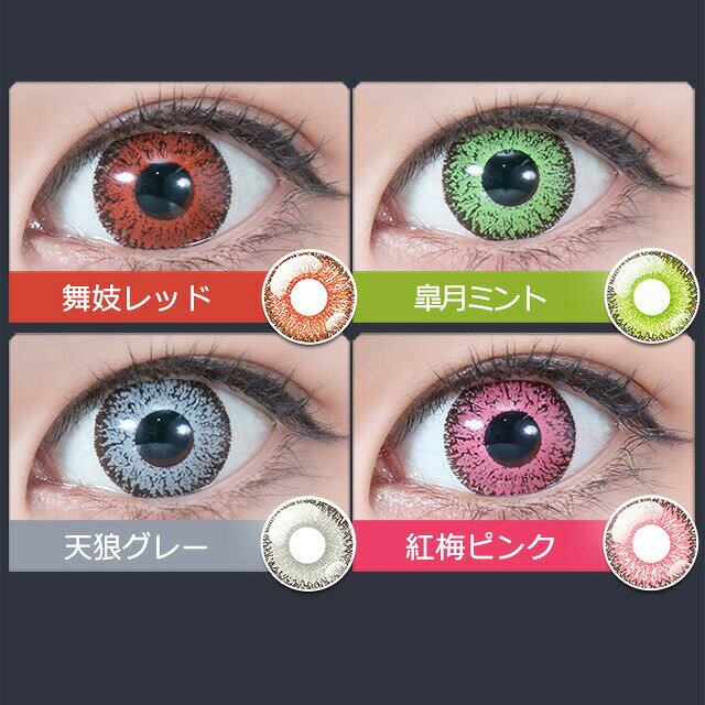 Perfect Series1day パーフェクトワンデー コスプレ カラコン 6枚入 カラーコンタクト カラコンワンデー 1日使い捨て 度あり 度なし