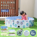 【GW限定10%OFFクーポン】 プール 空気入れ不要 折りたたみ 子供用プール ボールプール おしゃれ 赤ちゃん ベビープール おもちゃ 大きい 160cm ...