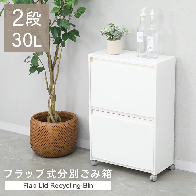 フラップ扉 スチール製 ダストボックス 2段2分別ごみ箱 ホワイト
