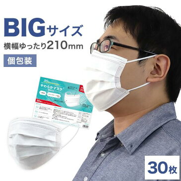 ＼大人用 大きめマスク／ マスク 大きめ 大人用 30枚 195mm 210mm 使い捨てマスク やわらかマスク 不織布マスク 花粉 風邪 ほこり 箱 PM2.5 立体 三層 使い捨て 不織布 大きいサイズ mask 立体マスク 国内発送 安心 ビックサイズ ラージサイズ