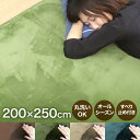 【GW限定10%OFFクーポン】 ラグ 洗える ラグマット 冬用 200×250cm 約3畳 滑り止め付 マット 洗えるラグ ラグカーペット 夏 冬 オールシー...