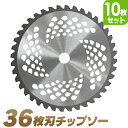 【P10倍!! 5月5日限定】【10枚セット】 草刈機用 チップソー 草刈 刃 草刈機 草刈り機 替え刃 草刈チップソー 230mm×36P 草刈 草刈用 刃 刈払機 刈 替刃 刈払 替刃 草刈り 刈払い 刈払い機 部品 家庭用 業務用 芝 庭 芝生 ガーデニング 農業 林業 畑 土手