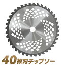 【GW限定10%OFFクーポン】 草刈機用 チップソー 刃 草刈機 草刈り機 替え刃 草刈チップソー 255mm×40P 家庭用 業務用 芝 庭 芝生 ガーデニ...