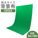 P10倍 0のつく日&ワンダフルデー! 撮影用 背景布 グリーン 緑 3m×6m バックスクリーン 特大サイズ 撮影 背景スタンド 写真撮影用 全身撮影用 背景 バックグラウンドサポート 3m 6m 布バック カメラ カメラ周辺機器 A0103CLGR