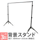 【送料無料】 撮影用 背景 スタンド 幅3m 伸縮 収納ケース付 撮影 背景スタンド 収納 写真撮影用 全身撮影用 背景 ポール カメラ カメラ周辺機器 ブラッ...