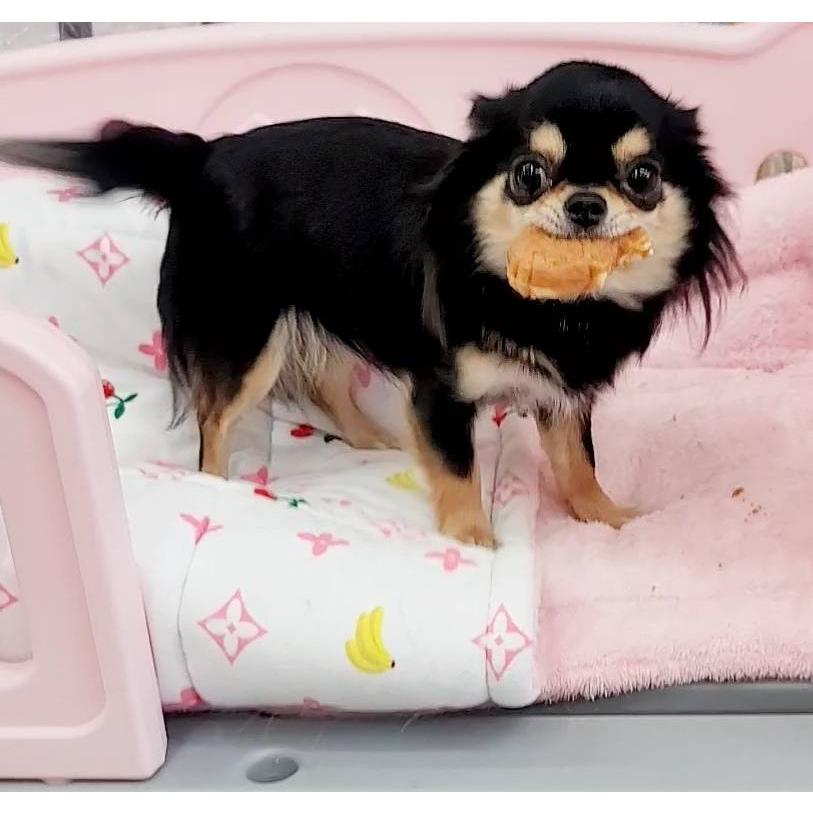 �� ����� ����Ƥ� ���Τ���� �����䤭 �����Ƥ� ��Ƥ� ���𥳡��ݥ졼����� �ѥƥ����� ������� ���Ѥ���� �²ۻ� �� �ڥå� �ա��� ������ ����� �ס��ɥ� ���餫�� ������ ���ܤ��� ������ �ڥåȥ��å� �ץ쥼���