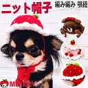 犬の帽子 犬 変身帽子 ニット帽 ケーキ帽子 苺帽子 くまさん帽子 犬 服 小型犬 被り物 わんこ 可愛い 小さい チワワ プードル 柴犬 ポメラニアン 帽子 コスプレ 犬 猫 誕生日 お祝い 写真撮影 ペットコスプレ キャップ 犬猫用 帽子