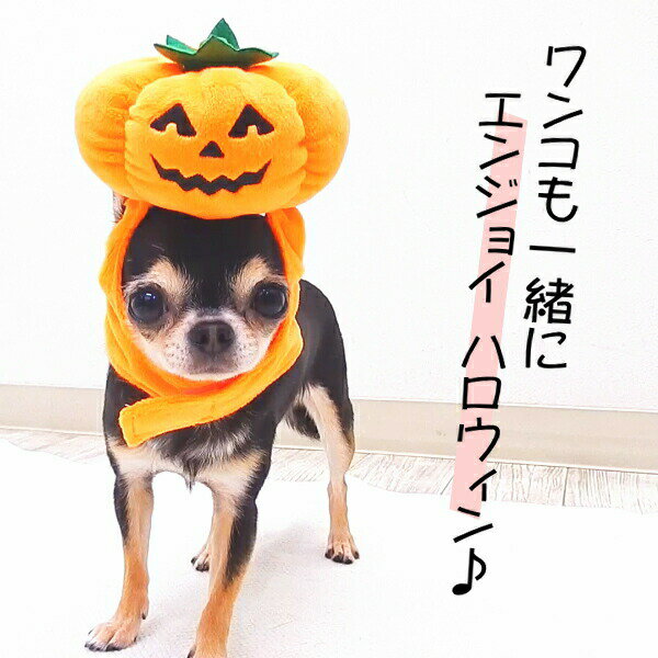 犬 帽子 ハロウィン パンプキン キャップ スマイリー S M L サイズ かぼちゃ ジャックオランタン 帽子 仮装 犬の帽子 犬用帽子 小型犬 チワワ 中型犬 プードル 猫 被り物 かぶりもの 変身 コスチューム コスプレ 可愛い おしゃれ SNS ペット 犬用品 ペットグッズ グッズ