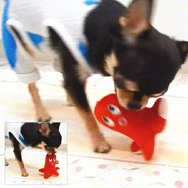 犬 おもちゃ タコウィンナー トイ ぬいぐるみ タコさん 蛸 たこ 犬用おもちゃ チワワ 小型犬 子犬 ペット かわいい おもしろ 音が鳴る 鳴く 音 甘噛み 噛む 運動 遊び グッズ ペット 用品 グッズの商品画像 3