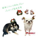クリスマスリース トナカイ ヘッドアクセサリー パッチン 小型犬 中型犬 大型犬 コスプレ cristmas ヘアパッチン 髪飾り おしゃれ