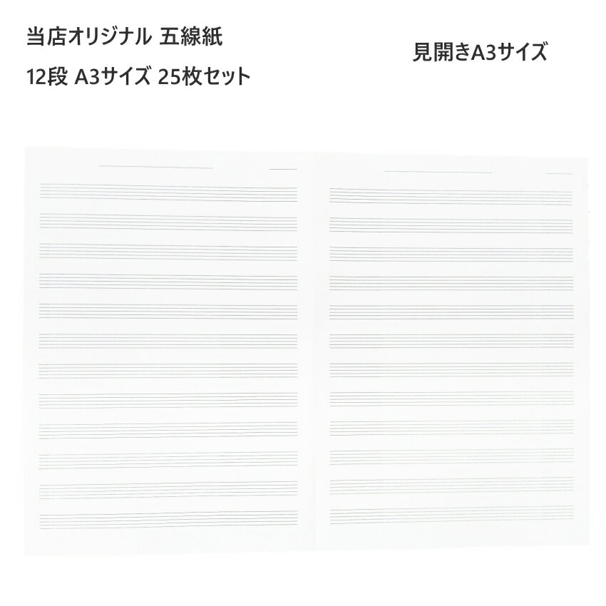 五線紙 A3サイズ 片面 25枚入り 見開きA3サイズ 5線 五線譜 五線ノート【メール便送料無料】オリジナル 使いやすい 書きやすい ソルフェージュ 作曲 5線ノート 5線譜 5線紙 楽譜ノート バンドファイルにピッタリ スコア 吹奏楽 バンド 入学準備 進学準備 譜面起こし まとめ