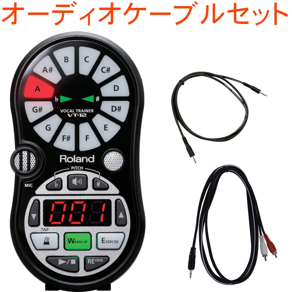 Roland VT-12 ブラック【接続ケーブル付】ローランド ボーカルトレーナー(VT12-BK)