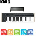 KORG MIDIキーボード Keystage 49 49鍵盤 USB MIDI2.0 コルグ(2)