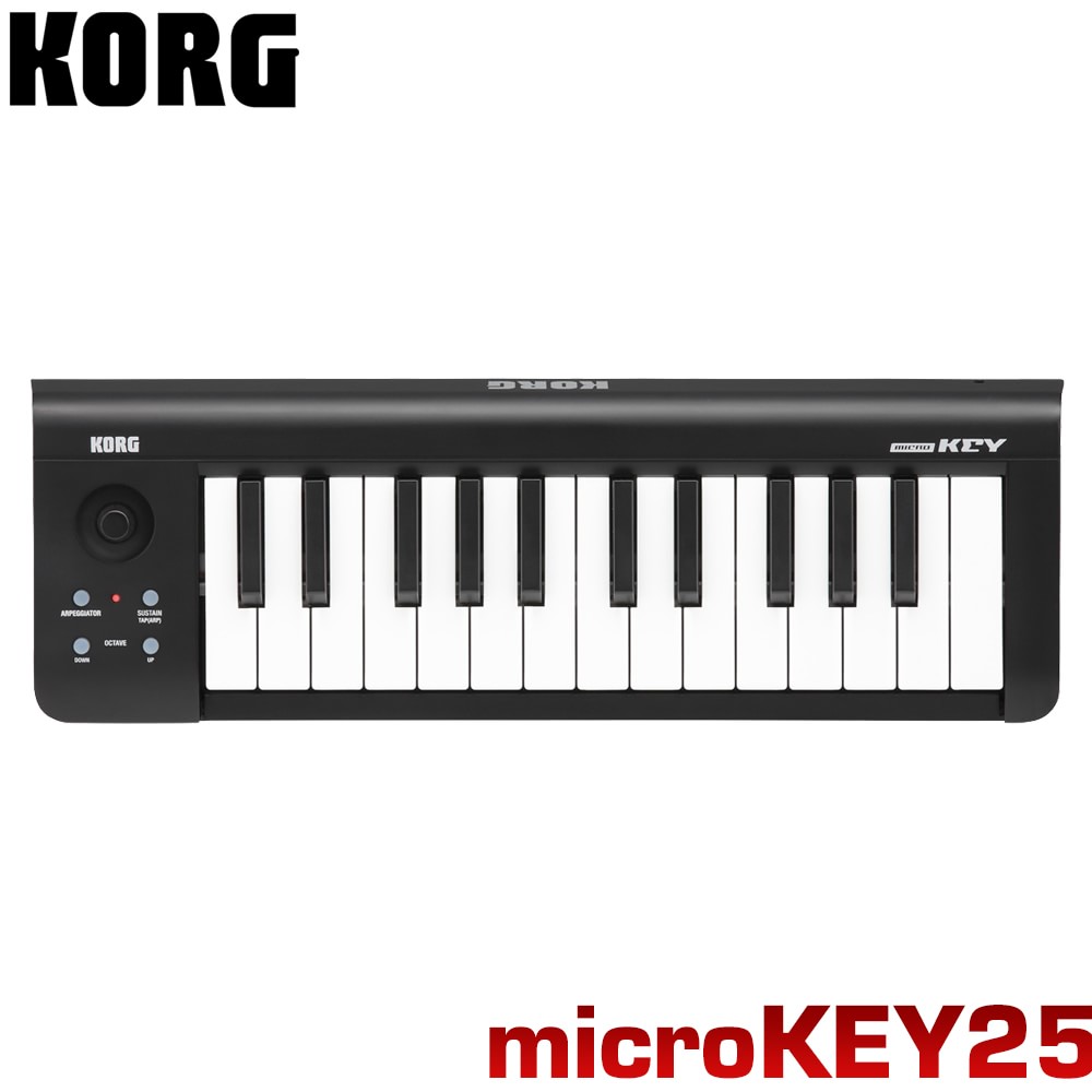 KORG microkey-25 MIDIキーボード コルグ コントローラー 25鍵盤