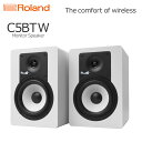 【5/1限定】クーポン最大1000円OFF★ラスト1組【処分特価】C5BTW (ホワイト) 40W(20W+20W) モニタースピーカー Bluetooth対応