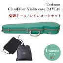 イーストマン バイオリンケース 【ラムネ/SVフレーム】CAVL16/定番 バイオリン ハードケース CAVL-16 EASTMAN【楽譜バッグ/レインコートセ...