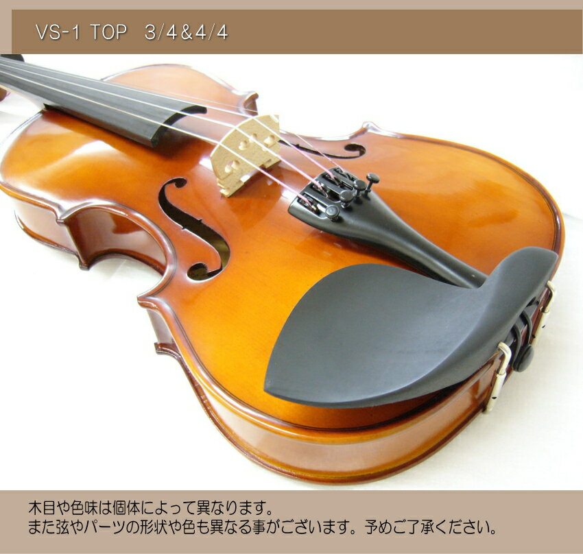 初心者向け バイオリン【調整後出荷】VS-1 4/4サイズ「9点セット」大人サイズ カルロジョルダーノ