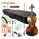 初心者向け バイオリン【調整後出荷】VS-1 1/2サイズ「12点セット」分数サイズ カルロジョルダーノ