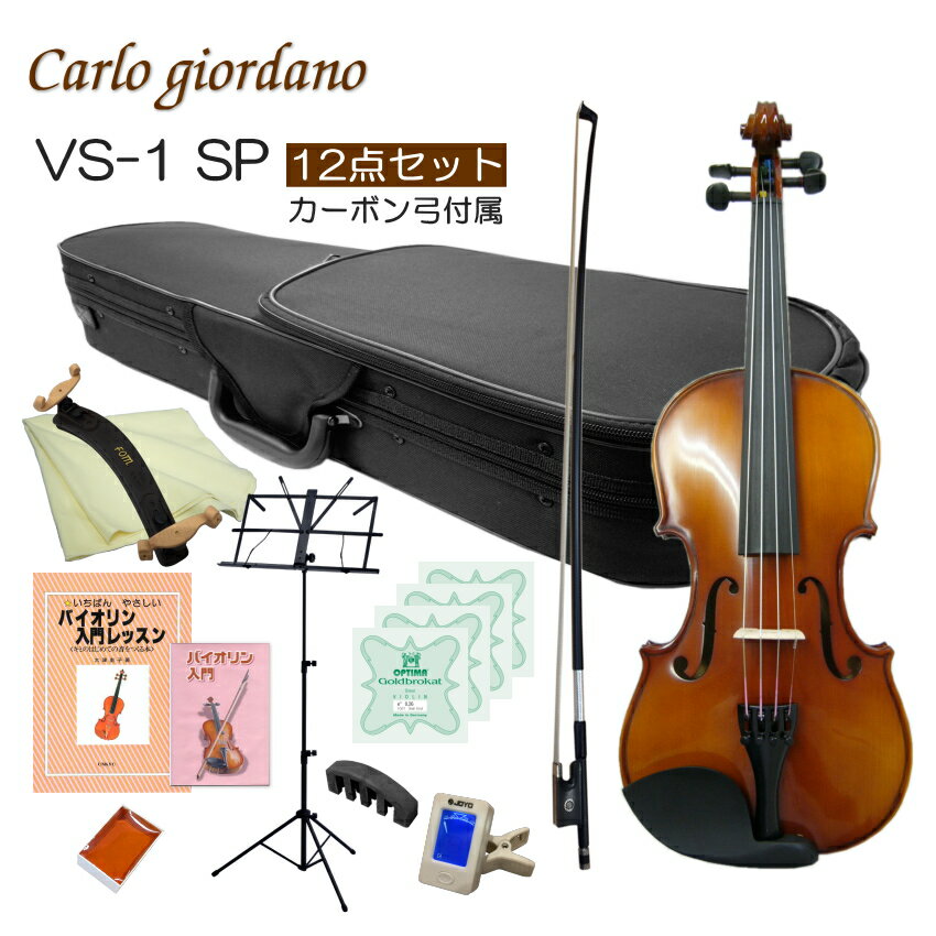 初心者向け バイオリン【調整後出荷】VS-1 4/4サイズ カーボン弓付属「12点セット」大人サイズ カルロジョルダーノ