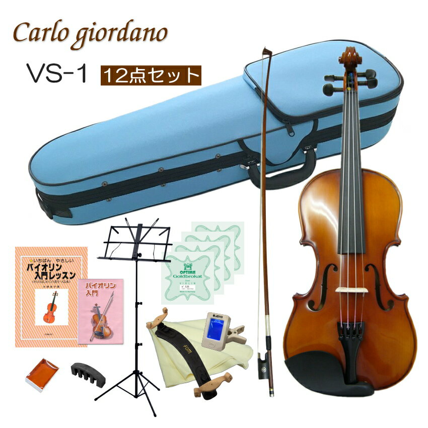 初心者向け バイオリン みずいろケース【調整後出荷】VS-1 4/4サイズ「12点セット」大人サイズ カルロジョルダーノ