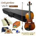 初心者向け バイオリン【調整後出荷】VS-F1 1/10サイズ「9点セット」分数サイズ カルロジョルダーノ