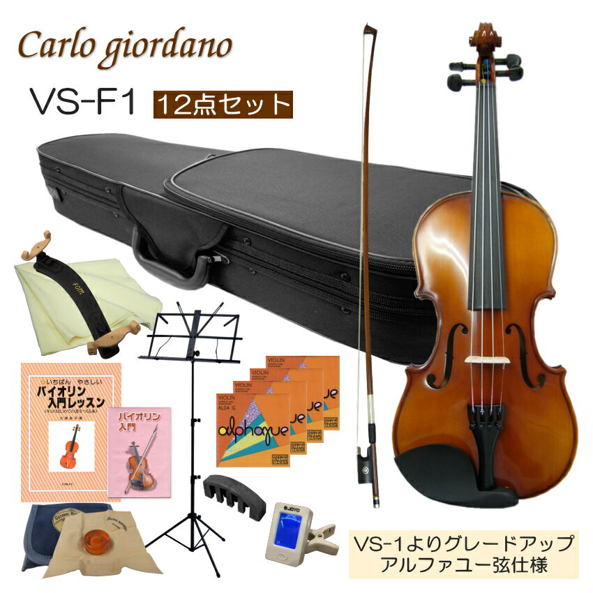 Nicolo Santi NSN60S 1/2サイズ 分数バイオリン 初心者セット