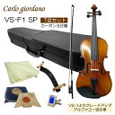初心者向け バイオリン【調整後出荷】VS-F1 4/4サイズ カーボン弓付属「7点セット」大人サイズ カルロジョルダーノ