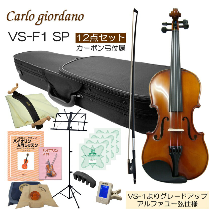 初心者向け バイオリン【調整後出荷】VS-F1 4/4サイズ カーボン弓付属「12点セット」大人サイズ カルロジョルダーノ