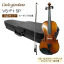 初心者向け バイオリン【調整後出荷】VS-F1 4/4サイズ カーボン弓付属「シンプルセット(3点セット)」大人サイズ カルロジョルダーノ