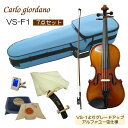 初心者向け バイオリン みずいろケース【調整後出荷】VS-F1 1/8サイズ「7点セット」分数サイズ カルロジョルダーノ