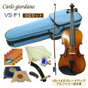 初心者向け バイオリン みずいろケース【調整後出荷】VS-F1 1/2サイズ「9点セット」分数サイズ カルロジョルダーノ(2)