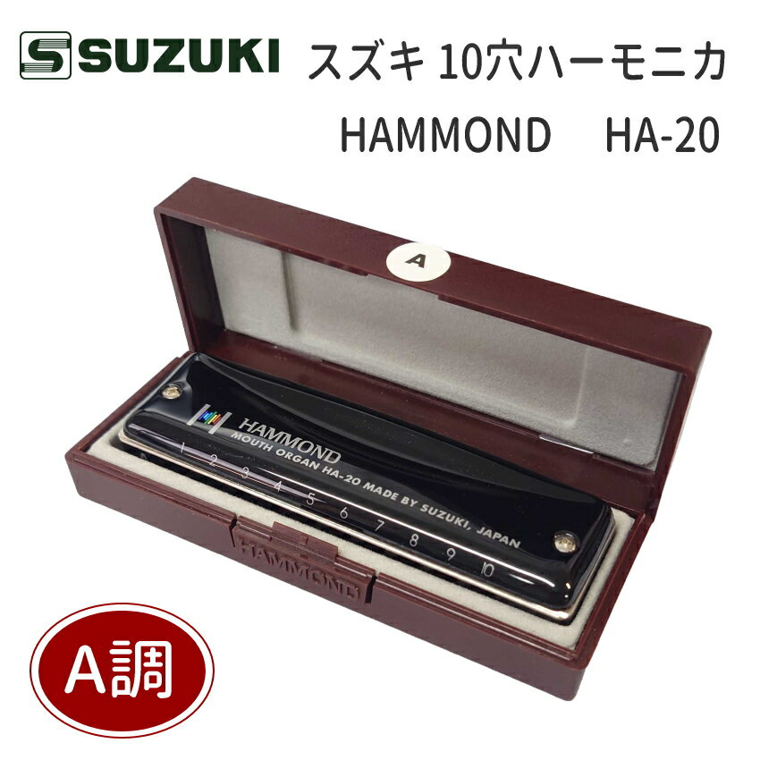 AĴۥ 10ϡ˥ HAMMOND HA-20 ϥ/ ֥롼ϡ / ƥۡ / SUZUKI