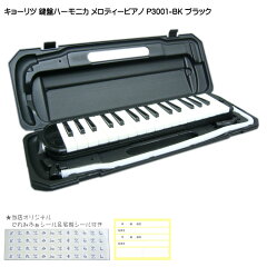 https://thumbnail.image.rakuten.co.jp/@0_mall/merry-net/cabinet/harp/kenban/p3001-bk.jpg