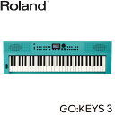 Roland 高音質 電子キーボード GO KEYS 3 ターコイズ TQ 61鍵盤 ピアノ音源他たくさんの音源搭載