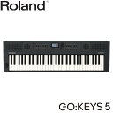 Roland 高音質 電子キーボード GO KEYS 5 GT グラファイト ライブ等にも
