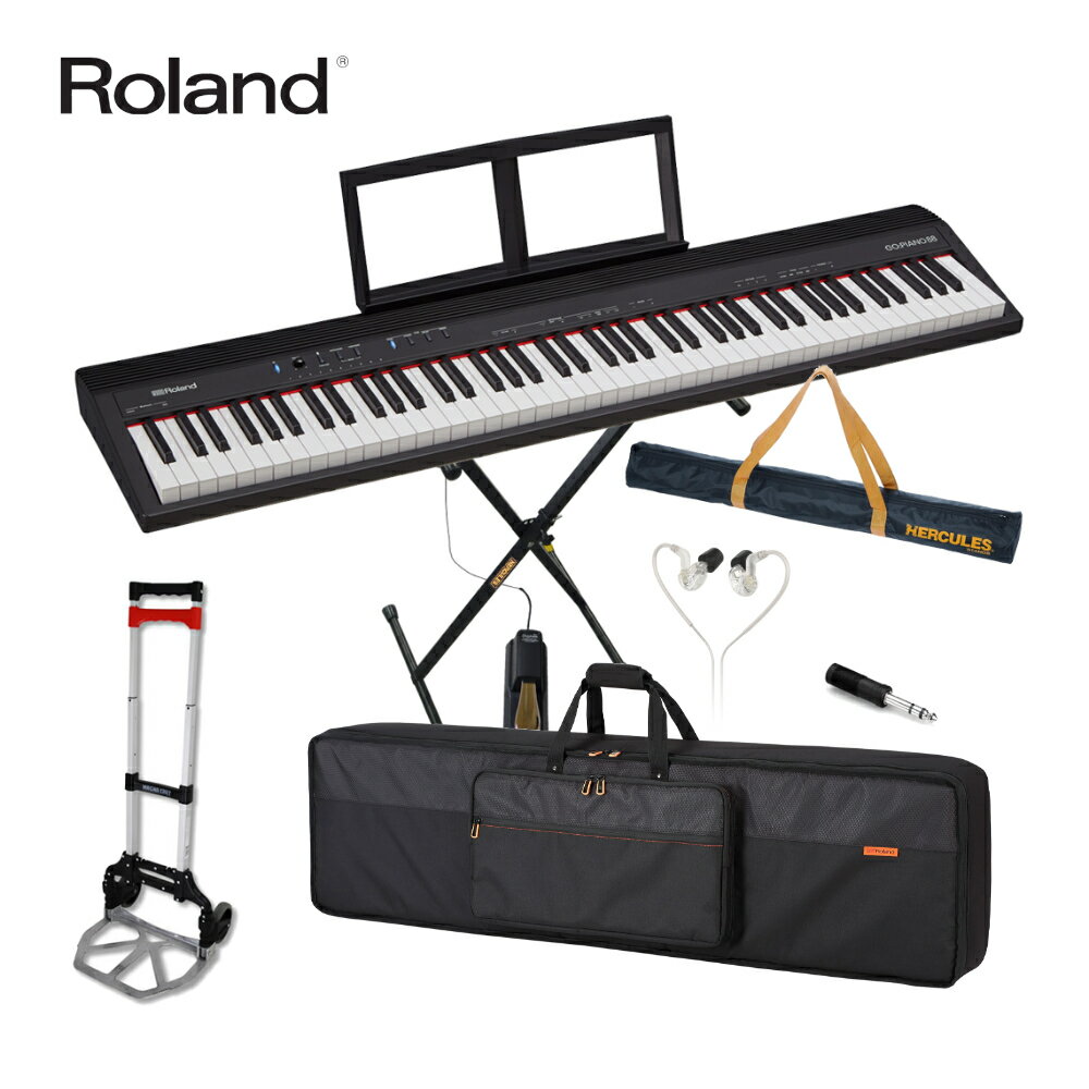 ӳڡRoland  Żҥܡ GO-88P GOԥ GO PIANO 88 (ޤꤿߥܡɥɥå)