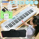 背負えるケース付】カシオ キーボード LK-335 CASIO LK335 光る鍵盤 光ナビ LK-330の後継モデル 61鍵盤ポータブルキーボード