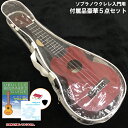 数量限定【アウトレット品】ソプラノウクレレ用 珍しいクリアタイプのソフトケース 弦や教則DVDのついた入門用付属品 豪華「5点セット」!