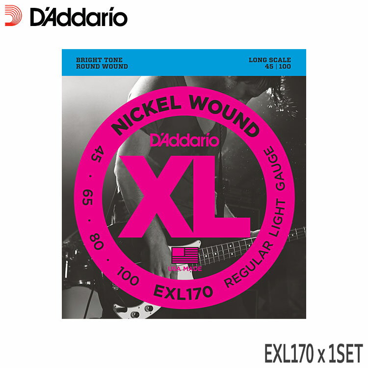 ١ ꥪ 45-100 EXL170 1å 쥮顼饤 D'Addarioڥ᡼̵