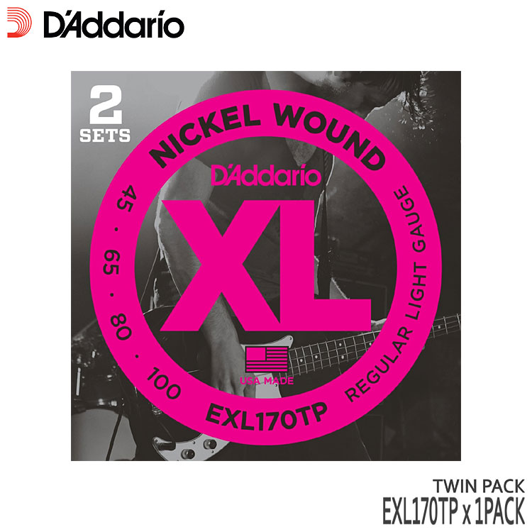 ١ ꥪ 45-100 EXL170TP 1ѥå2åȡ 쥮顼饤 D'Addarioڥ᡼̵