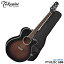 TAKAMINE 쥯ȥåƥå PTU121C GBB ߥ 100꡼ 쥢